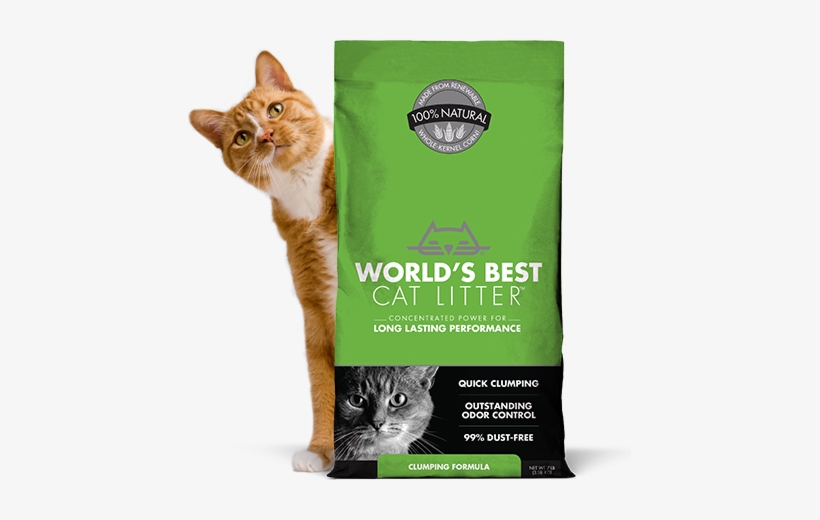 Flushable* Cat Litter That Clumps - World's Best Cat Litter, transparent png #2848534