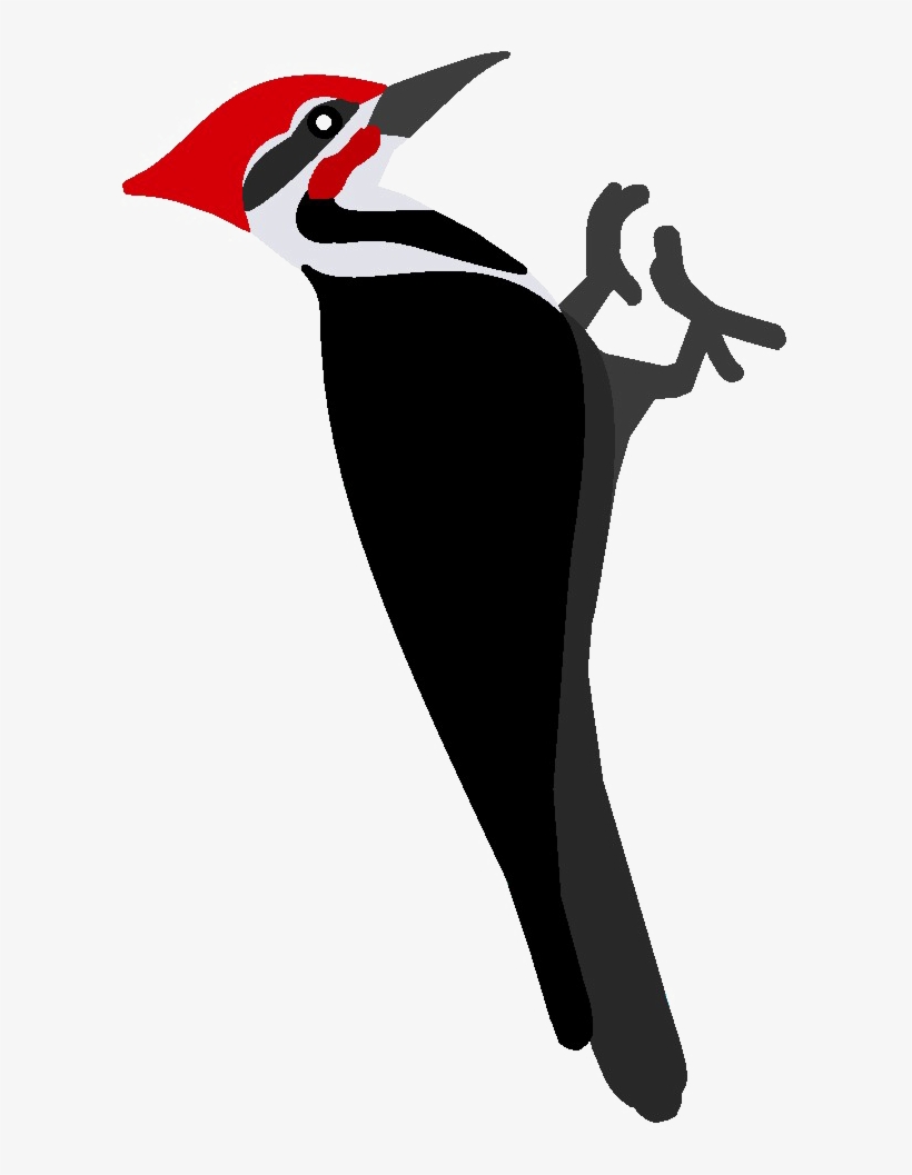 Woodpecker Png Pic - Red Headed Woodpecker Clipart, transparent png #2848797