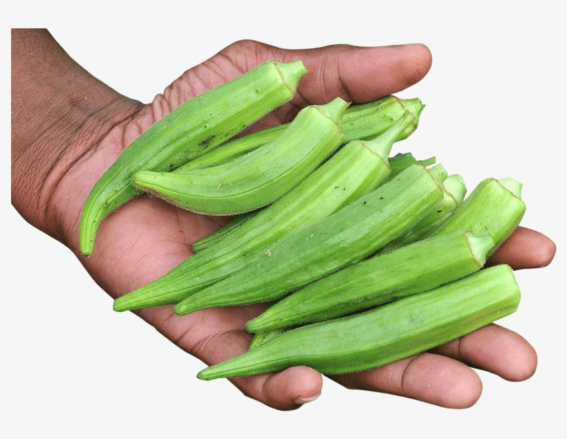 Free Png Hand With Okra Png Images Transparent - Okra Png, transparent png #2848799
