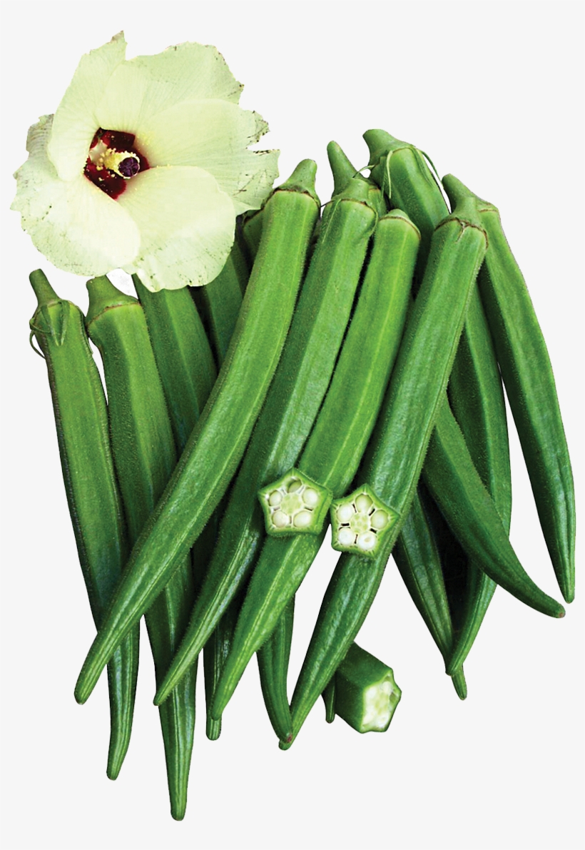 Okra Variety In Many Major Markets - Okra, transparent png #2848867