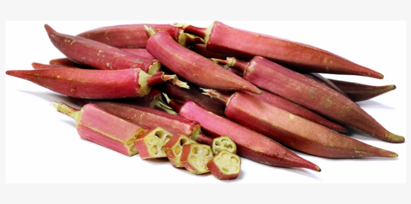 Premium Okra Red - 10 Seeds Red Okra - Easy To Grow, transparent png #2848892