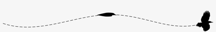 Pileated Woodpecker Mirrored Flying-pattern - Woodpecker Flight Pattern, transparent png #2849304
