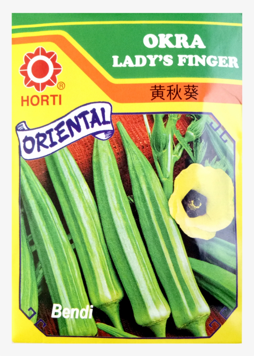 Semi Da Orto Gombo, transparent png #2849690