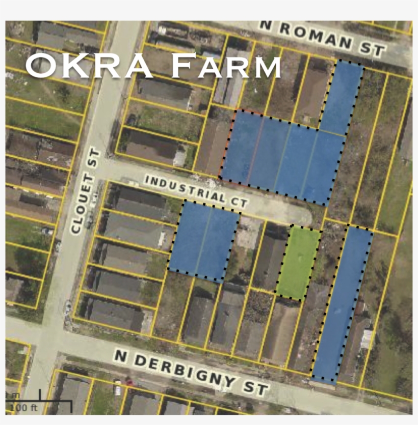 Okra Farm Pic, transparent png #2849736