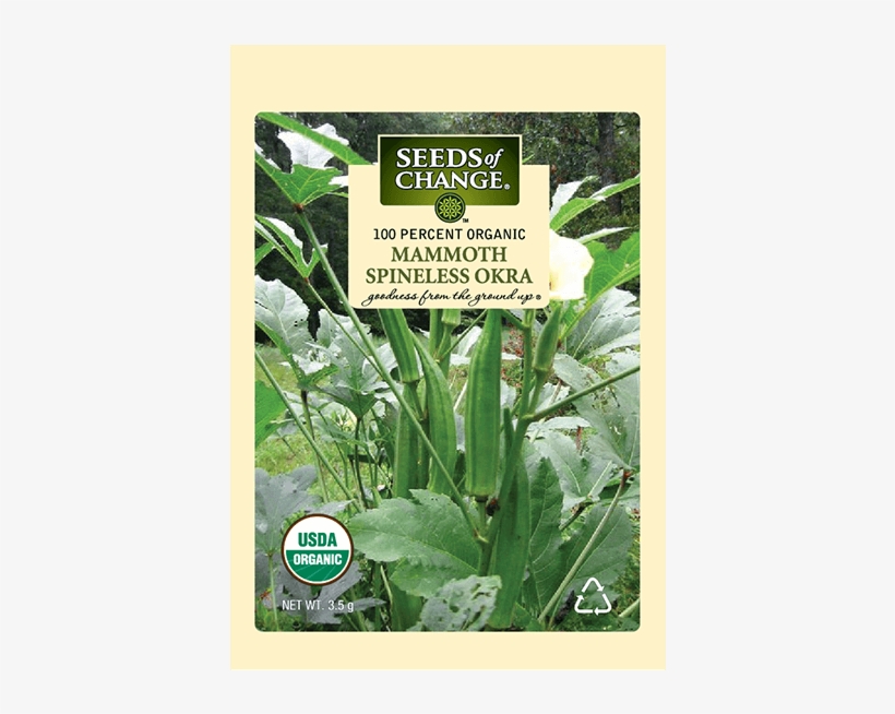 Organic Mammoth Spineless Okra Seeds - Lady Finger Vegetable Plant, transparent png #2849780