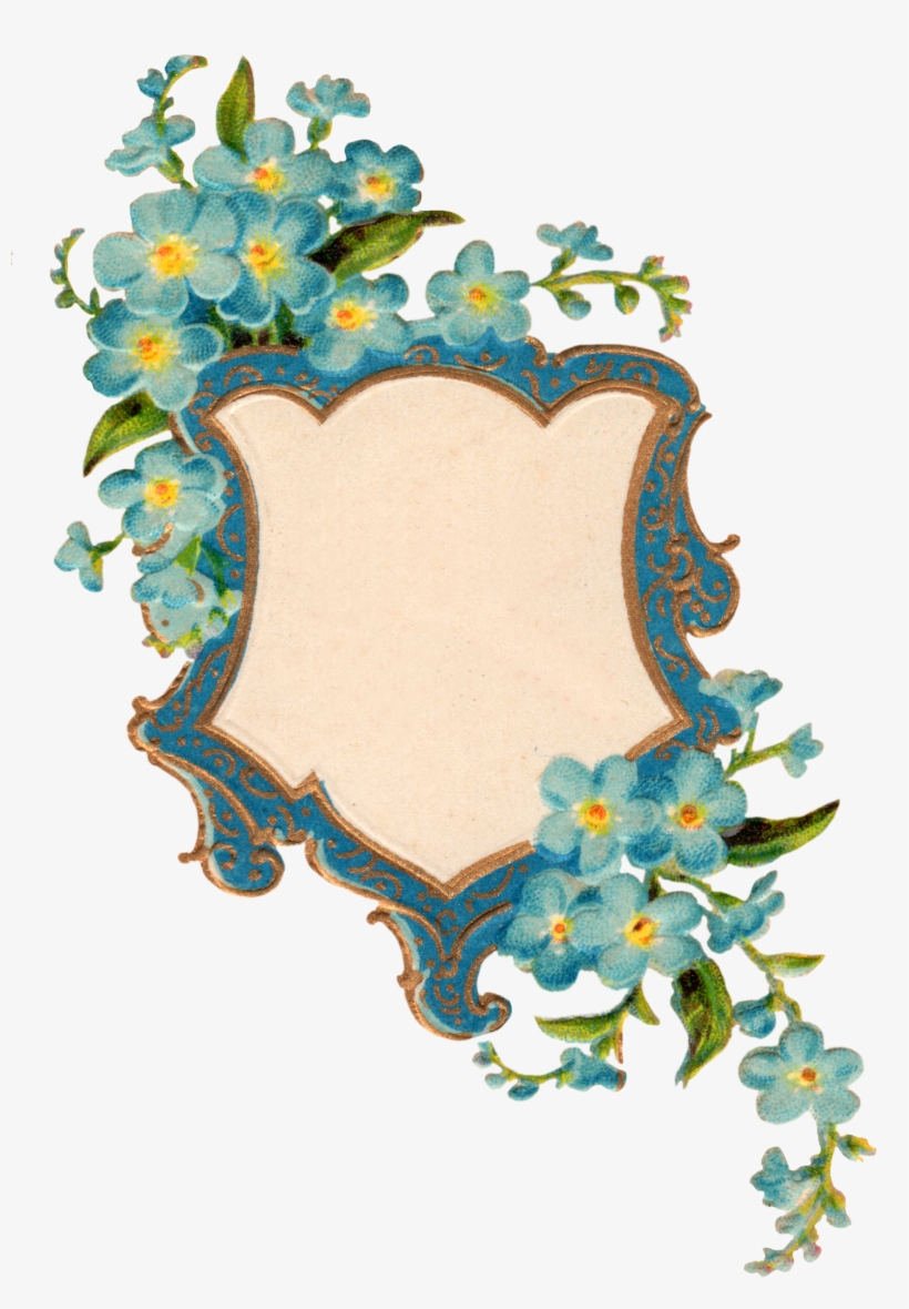 Forget Me Not Png Picture - Forget Me Nots Frame, transparent png #2849898