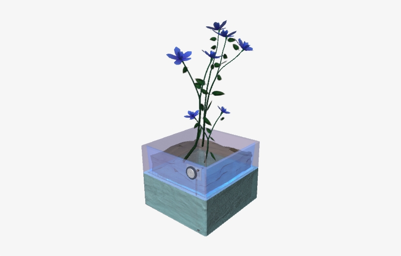 Forget - Me - Not - Delphinium, transparent png #2849981