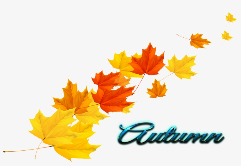 Autumn Leaf Vector Png, transparent png #2850475