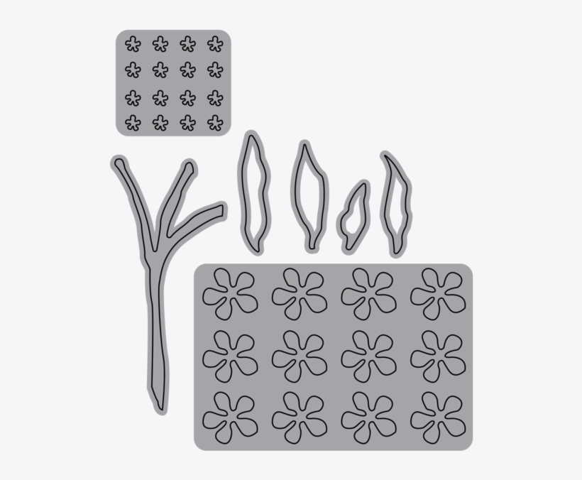 Forget Me Not - Scorpion Grasses, transparent png #2850501