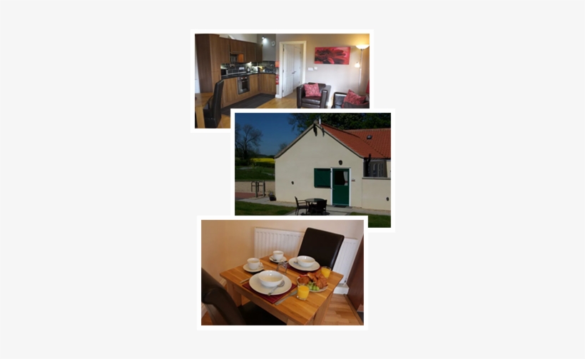 Wendy's Wing Self Catering Cottage Is Pet Freindly - Self Catering, transparent png #2850524