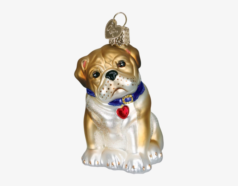 Old World Christmas English Bulldog Dog Glass Blown - Old World Christmas Bull Pup Glass Ornament, transparent png #2850552