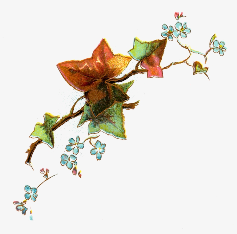 Free Flower Clip Art - Portable Network Graphics, transparent png #2850700