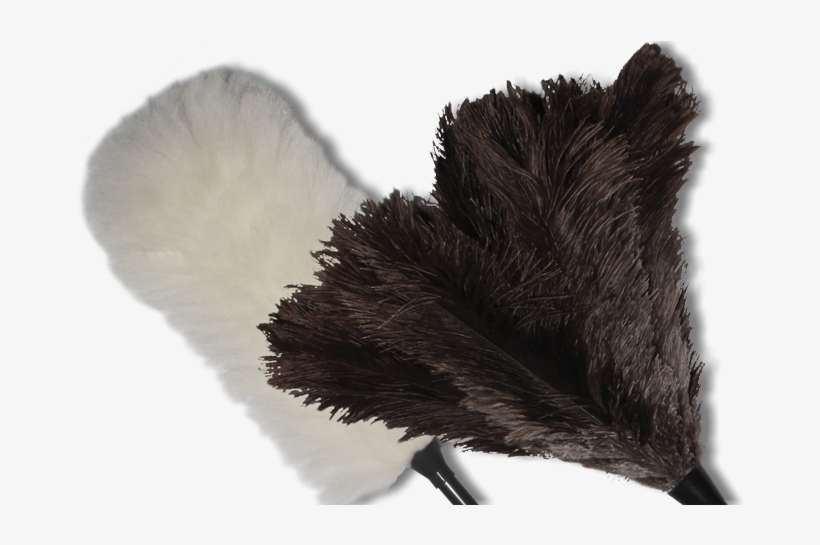 About Us - Fur Clothing, transparent png #2850988