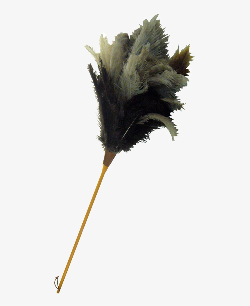 Thumb Image - Plumeau Png, transparent png #2851294