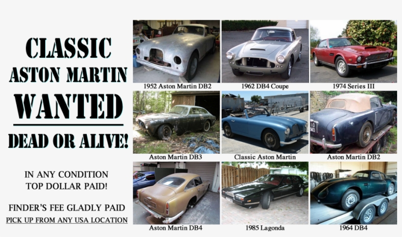 Beverly Hills Car Club - Cafepress Wanted Fox River 8 Oval Sticker Bumper Euro, transparent png #2852073