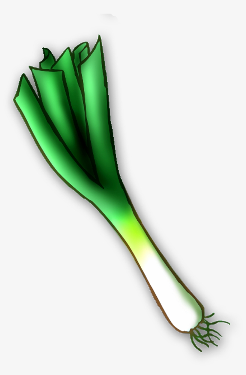 Leek Png - Leek Clipart Png, transparent png #2852981