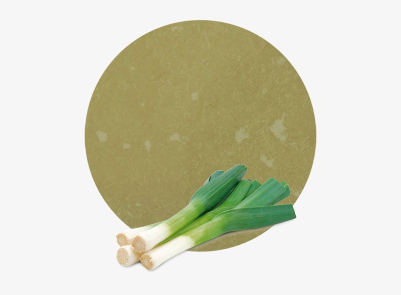 We Always Find The Best Logistic Solutions For Our - Welsh Onion, transparent png #2853047