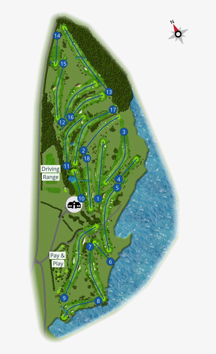 Overview - Royal Oak - Illustration, transparent png #2853336