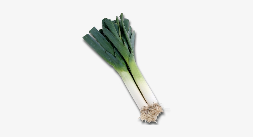 Poireau A Imprimer, transparent png #2853591