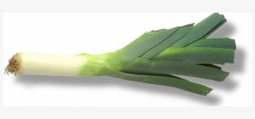 Leek 1 Bunch - Leek, transparent png #2853828