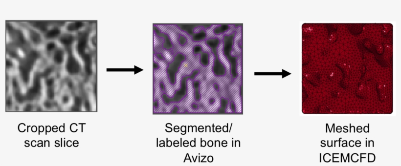 In Our Case, We Want To Better Understand How Army-related - Lavender, transparent png #2854540