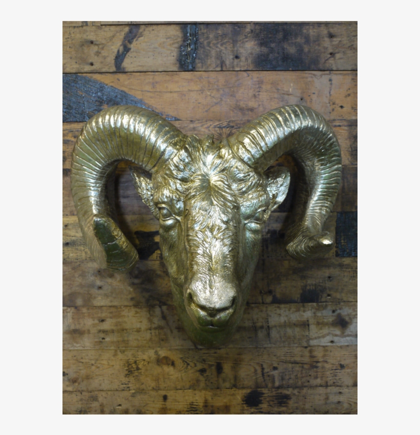 Cattle, transparent png #2854990