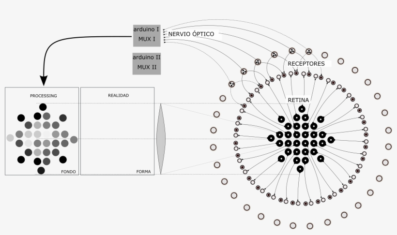 Esquema Ojo Barnamini - Vector Graphics, transparent png #2855700