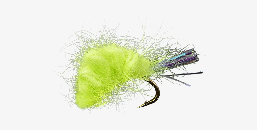 Feather, transparent png #2855743