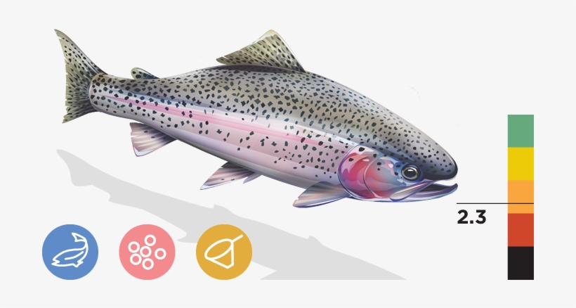 Eagle Lake Rainbow Trout, transparent png #2856296
