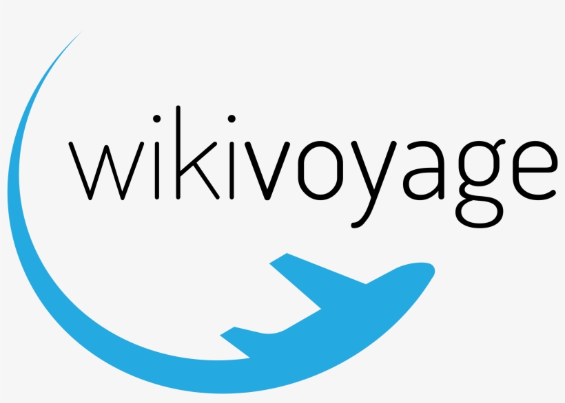 Wv Logo Proposal Flying Plane Transparent - Plane Logo Png, transparent png #2856363