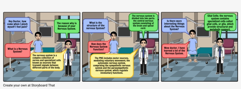 Nervous System Hernandez - Nervous System, transparent png #2856854