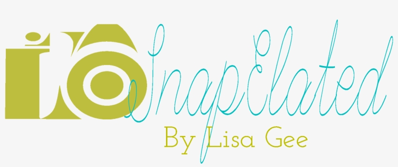 Snape Photography - Animation Camera, transparent png #2858318