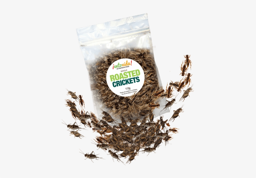 Edible Roasted Crickets - Crickets Roasted, transparent png #2858648