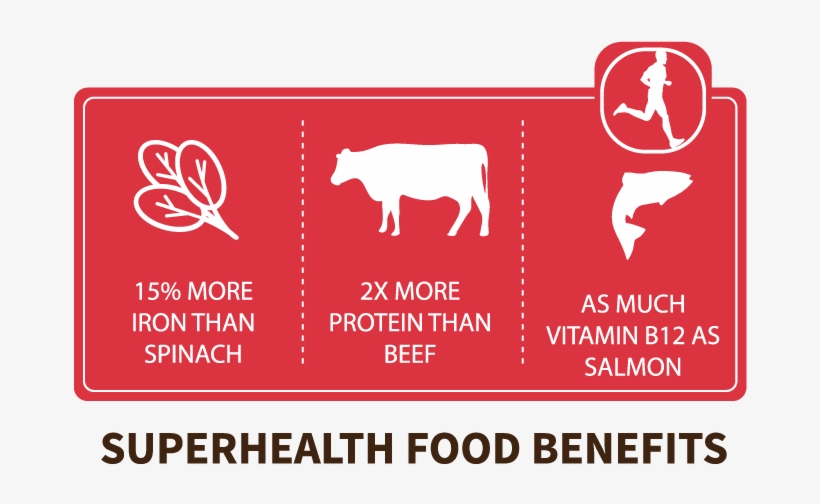 Chapul Why Eat Crickets - Cricket Flour, transparent png #2858671