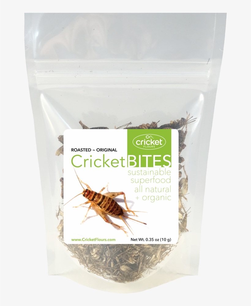 Roasted Crickets & Dried Crickets - Cricket, transparent png #2858674