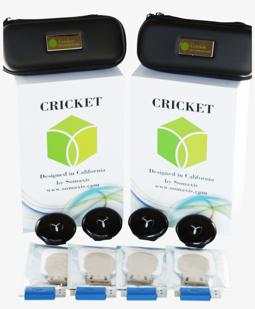 4 Crickets, transparent png #2858827