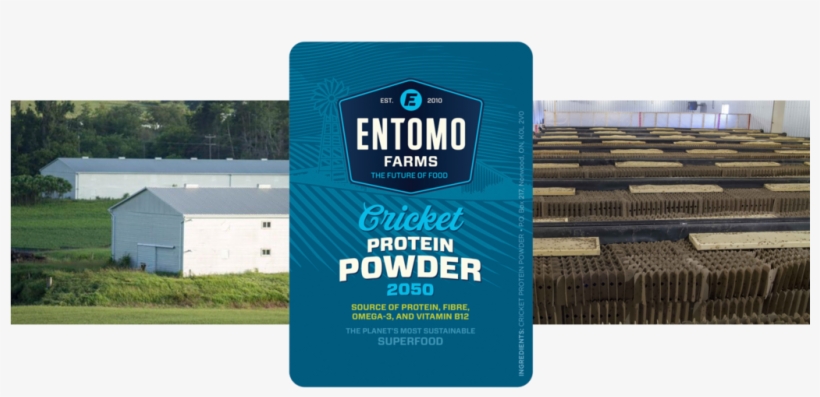 Entomo Farms Offers Crickets An Environment Similar - 【昆虫食】【カナダ産】粉末コオロギ クリケットパウダー 56g(eu 米国 カナダのオーガニック認証), transparent png #2858933