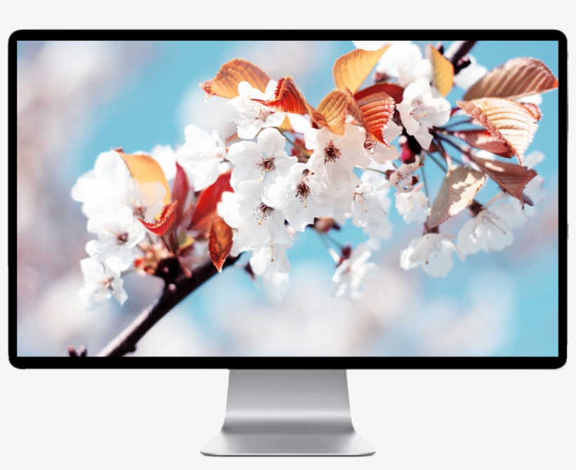 Score 50% - Fujifilm Finepix Jx500 Digital Camera (black) (black), transparent png #2858934