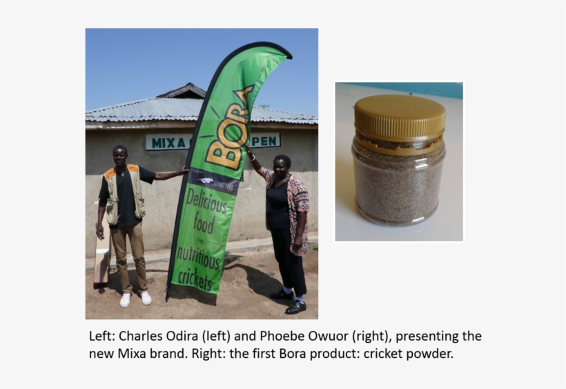 The First Product Is Ground Crickets, That May Be Applied - Banner, transparent png #2859110