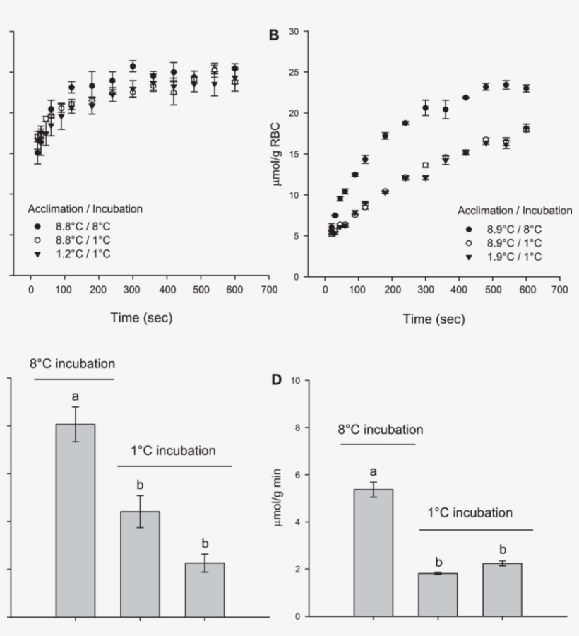 Glycerol Uptake Versus Time By Red Blood Cells From - Diagram, transparent png #2859463