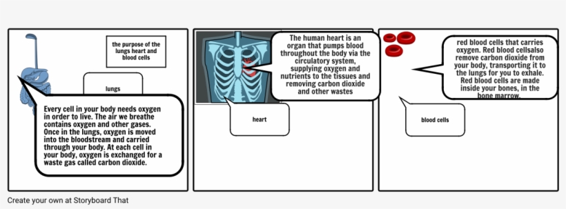 Body Book - Diagram, transparent png #2859531