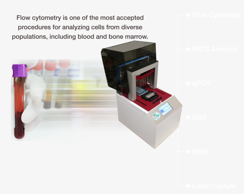 Following Filtration, Cells Were Stained With Different - Machine, transparent png #2859668