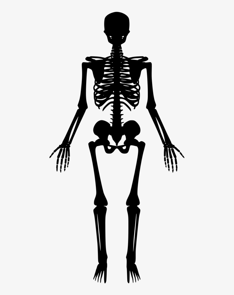 Download Png - Different Kinds Of Joints, transparent png #2859997