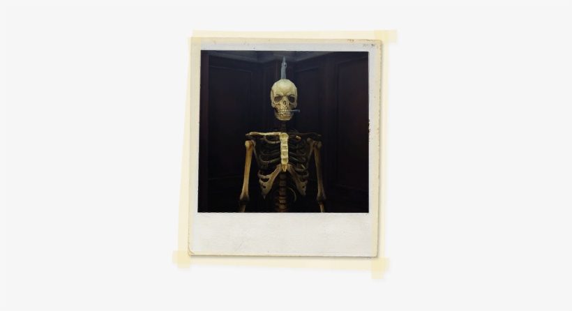 Tx E5 7b Corridor Skeleton Unlocked - Skeleton, transparent png #2860160
