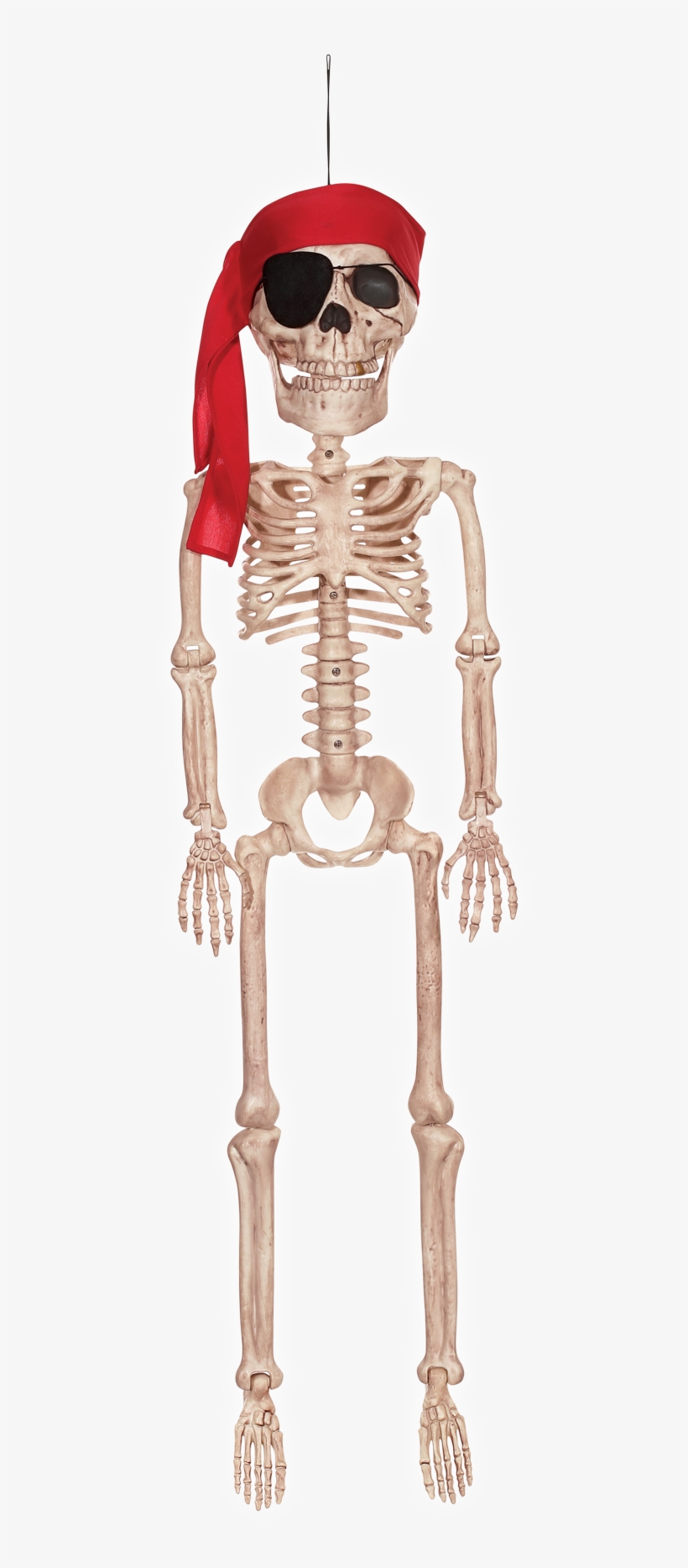 Pirate Skeleton Jr - Crazy Bonez Pirate Skeleton Jr 36", transparent png #2860260