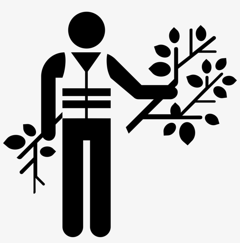 Harvesting Icon Png, transparent png #2860612