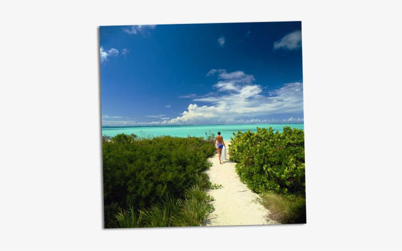 Ashley Greene 4 - Turks And Caicos, transparent png #2860886