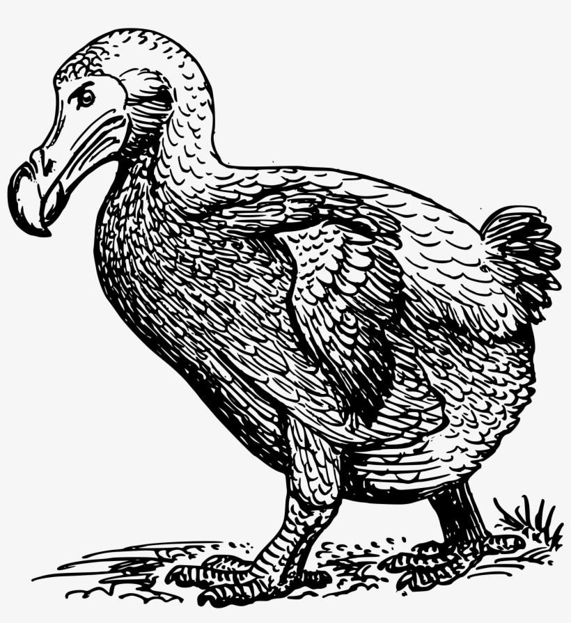 This Free Icons Png Design Of Dodo Bird.