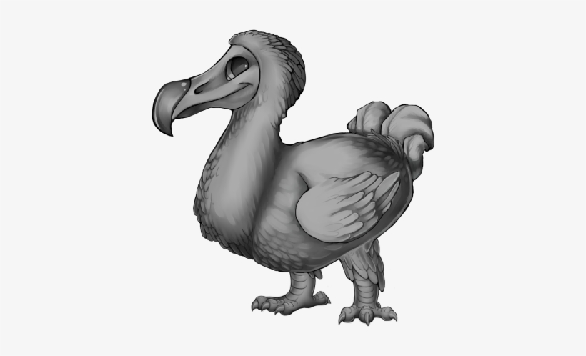 Free To Use Bird Base, transparent png #2861883