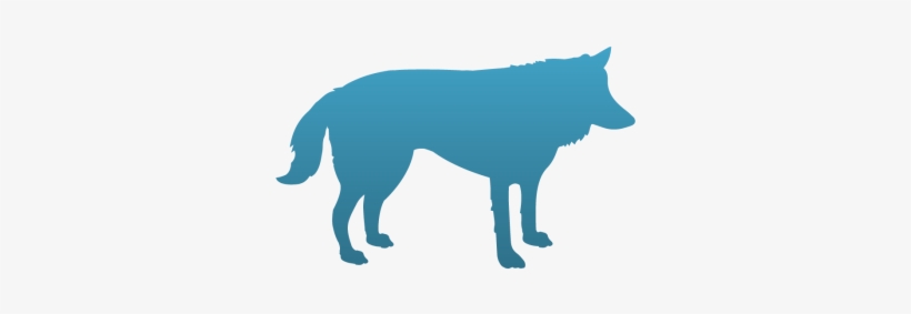 Wolf Temporary Tattoo - Wolf, transparent png #2862096